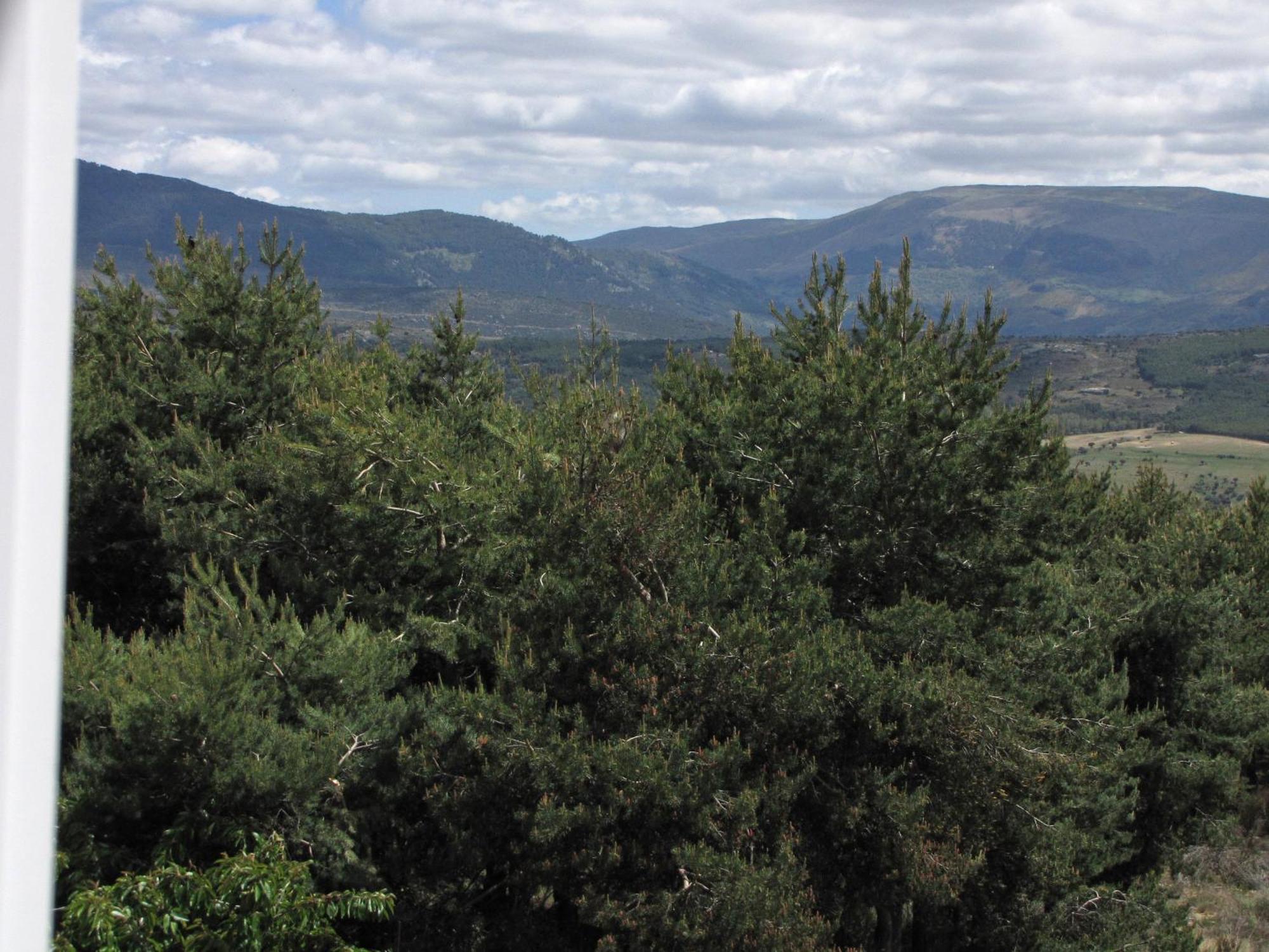 El Mirador De Tortoles Villa Eksteriør billede