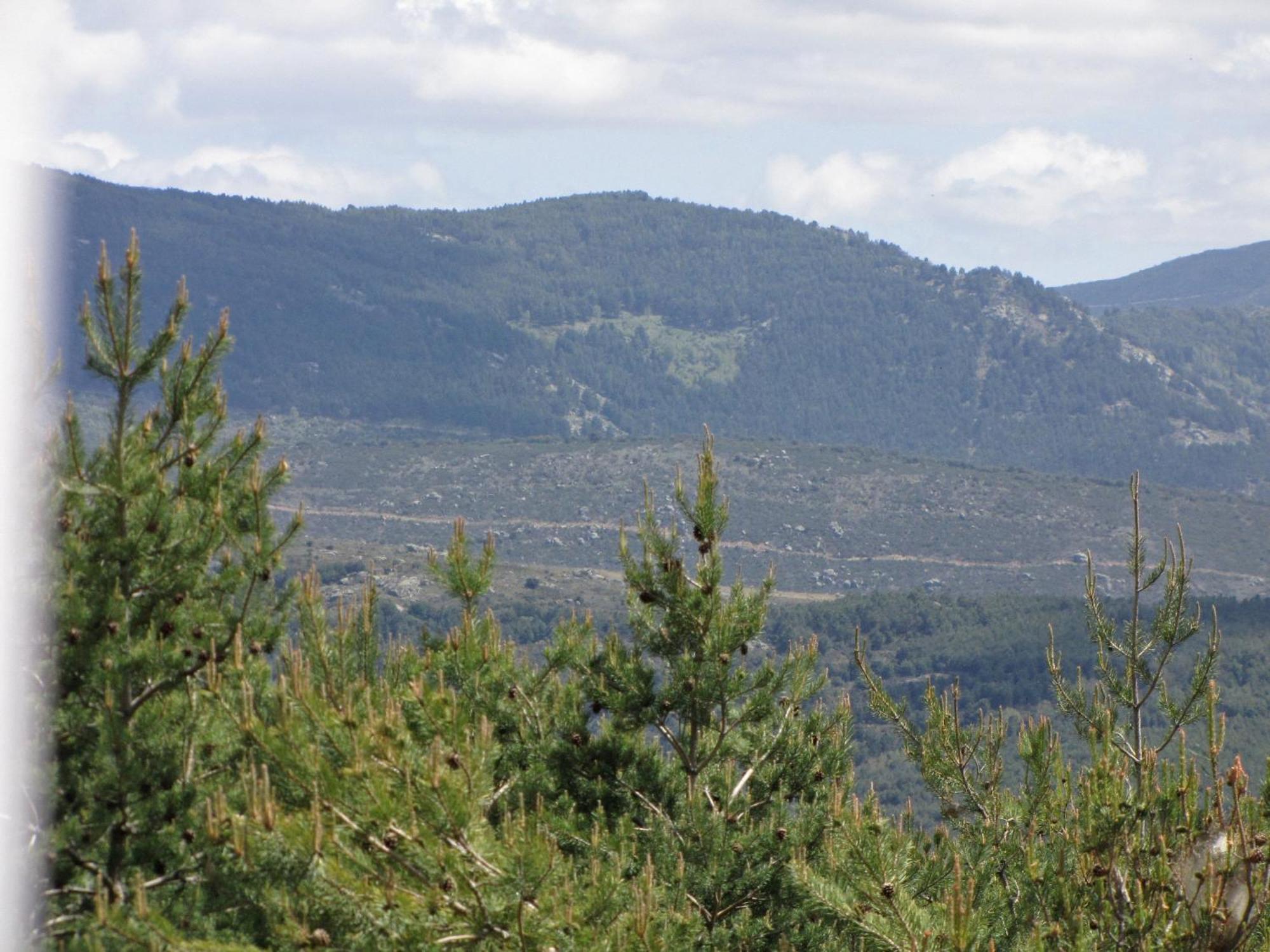 El Mirador De Tortoles Villa Eksteriør billede